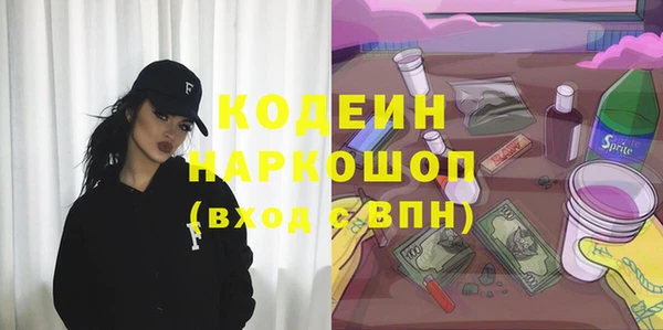 spice Бородино