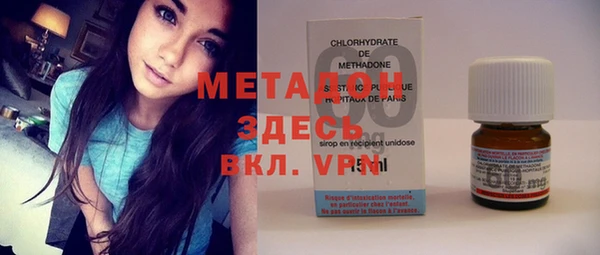 прущие грибы Богородицк