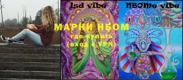 spice Бородино