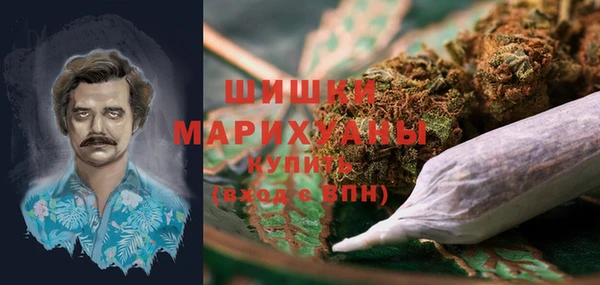 spice Бородино